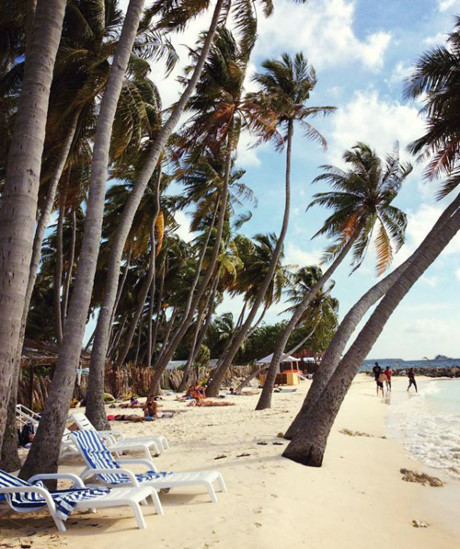 Chuyến đi Maldives trong mơ của mẹ đơn thân ung thư và con trai - Ảnh 8 Chuyen di Maldives trong mo cua me don than ung thu va con trai - Anh 8