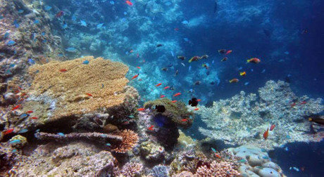 Chuyến đi Maldives trong mơ của mẹ đơn thân ung thư và con trai - Ảnh 10 Chuyen di Maldives trong mo cua me don than ung thu va con trai - Anh 10