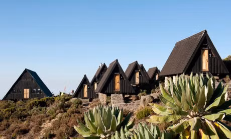 Ngam cung duong leo nui Kilimanjaro dep ngo ngang - Anh 7