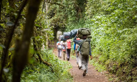 Ngam cung duong leo nui Kilimanjaro dep ngo ngang - Anh 4