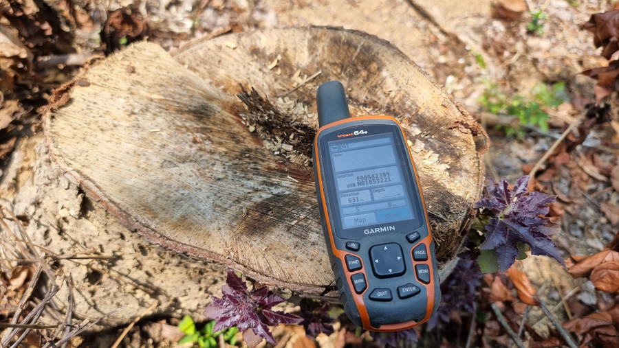 Một cây tự nhiên tại tọa độ: E00542389 - N01853221 bị cắt, chỉ còn lại gốc.