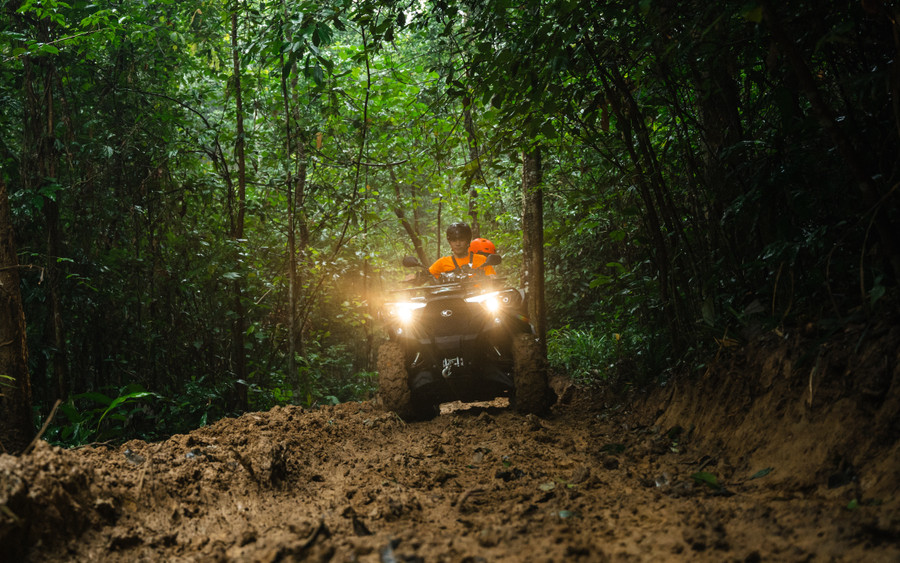 Chạy xe xuyên rừng dưới những tán cây. Chạy xe xuyên rừng dưới những tán cây.