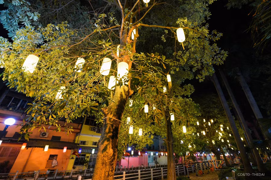Khu vườn hoa cũng được gắn những chiếc đèn lồng lên thân cây tạo cảnh quan môi trường sạch, đẹp.