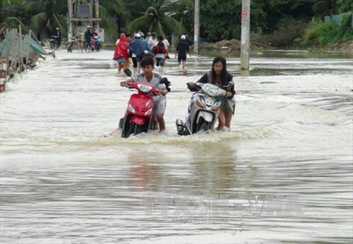 Ảnh minh họa/internet