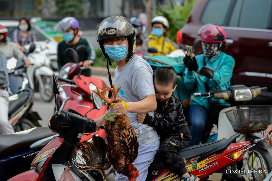 Sau nông sản, gà đồi Chí Linh, Hải Dương được giải cứu ảnh 9