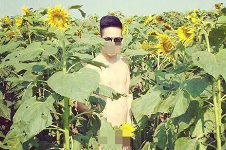 Phản cảm nam thanh niên nude 100% gây xôn xao đồng hoa hướng dương