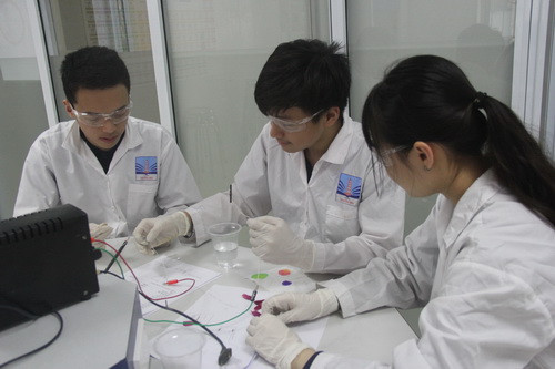 Các tham gia vào điều chế thuốc tẩy.