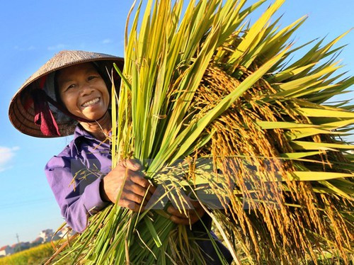 Ảnh minh họa/internet