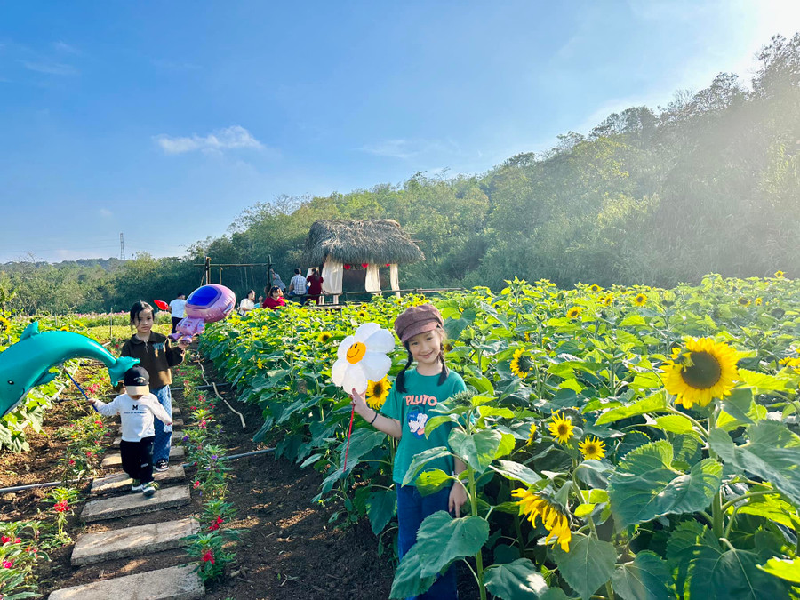 Những điểm du lịch sinh thái được nhiều bạn trẻ đến tham quan, chụp ảnh. (Ảnh: Thy Phương). Những điểm du lịch sinh thái được nhiều bạn trẻ đến tham quan, chụp ảnh. (Ảnh: Thy Phương).