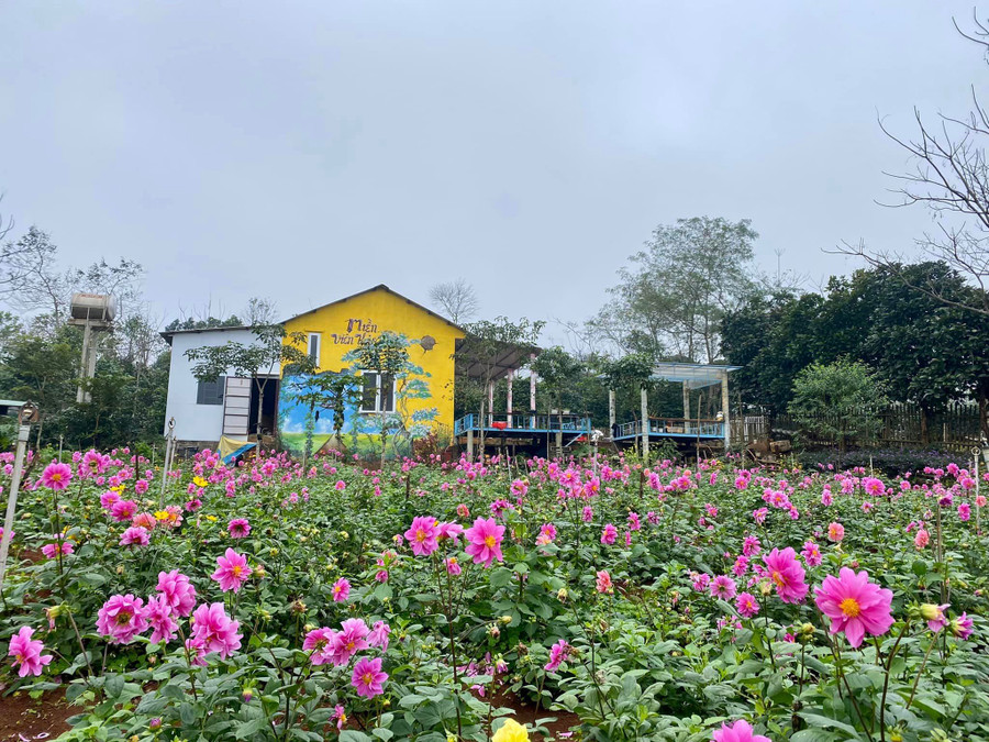 Điểm du lịch Miền Viên Thảo thú hút nhiều khách tham quan dịp Tết. (Ảnh: Thu Thảo). Điểm du lịch Miền Viên Thảo thú hút nhiều khách tham quan dịp Tết. (Ảnh: Thu Thảo).