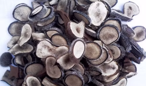 Lộc nhung bổ dưỡng nhưng phải rất cẩn trọng khi sử dụng vì có thể làm bệnh nặng thêm hoặc gây ra những tác dụng không mong muốn.