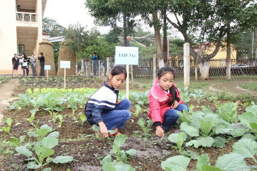 Học sinh miệt mài chăm sóc, nhổ cỏ cho rau trong khu “nông trại”