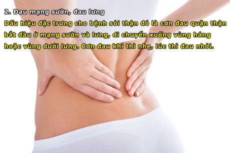 8 dấu hiệu cảnh báo bệnh sỏi thận - Ảnh 2 8 dau hieu canh bao benh soi than - Anh 2