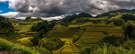 Ngay ngat truoc ve dep Mu Cang Chai mua lua chin - Anh 9
