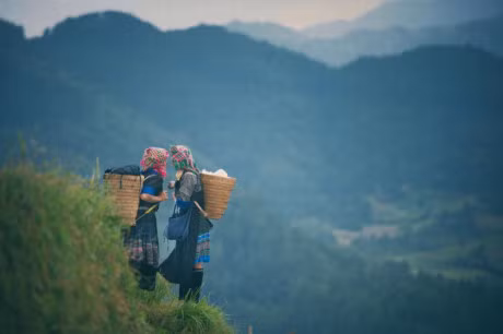 Ngay ngat truoc ve dep Mu Cang Chai mua lua chin - Anh 6