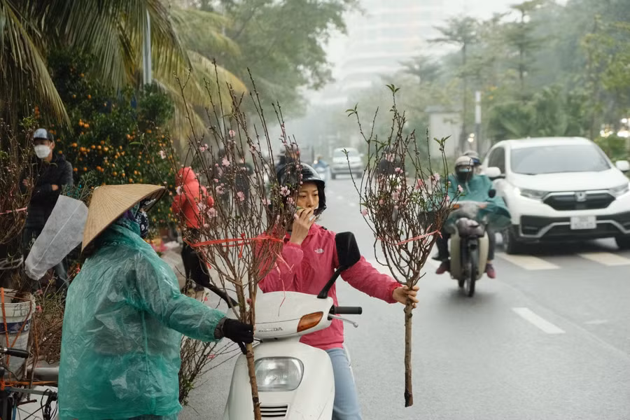 Người dân tranh thủ dừng lại mua một cành đào trên đường Lạc Long Quân.