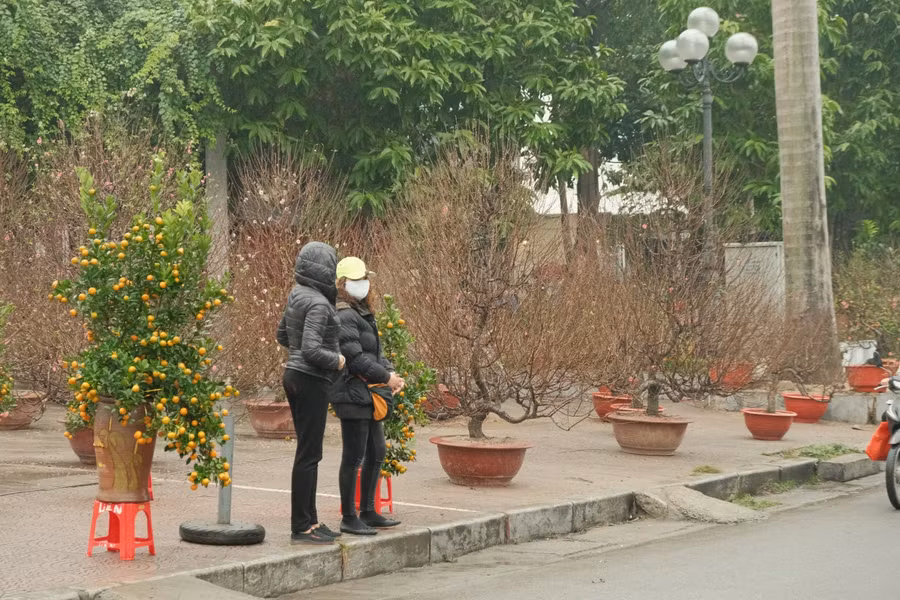 Nhiều điểm bán hoa đào vắng vẻ khách.