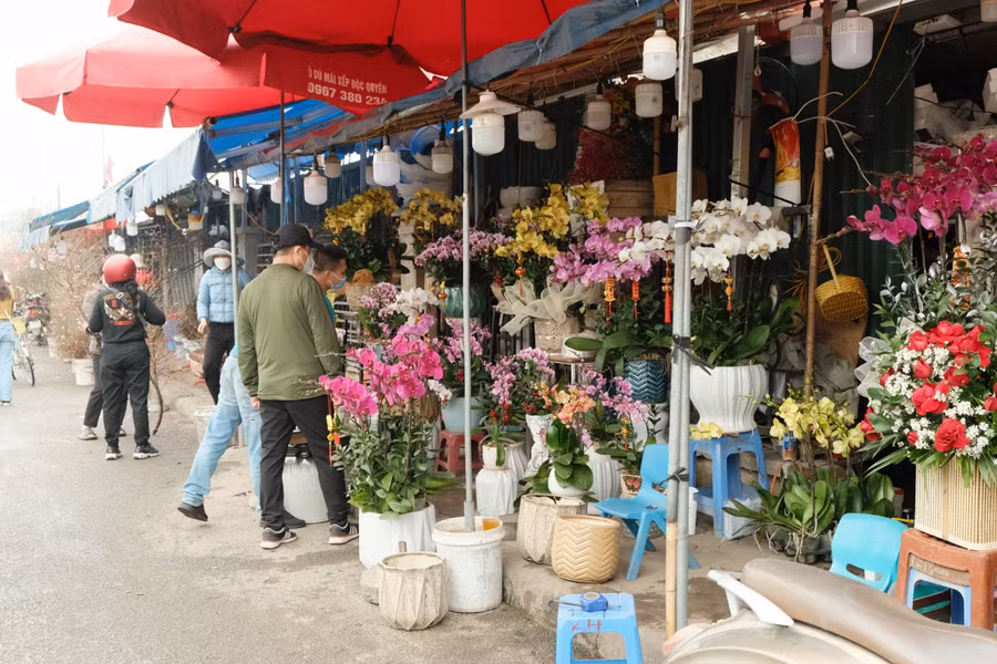 Một số người dân đến chợ hoa Quảng Bá mua các loại hoa như hoa cúc, hoa lan,…