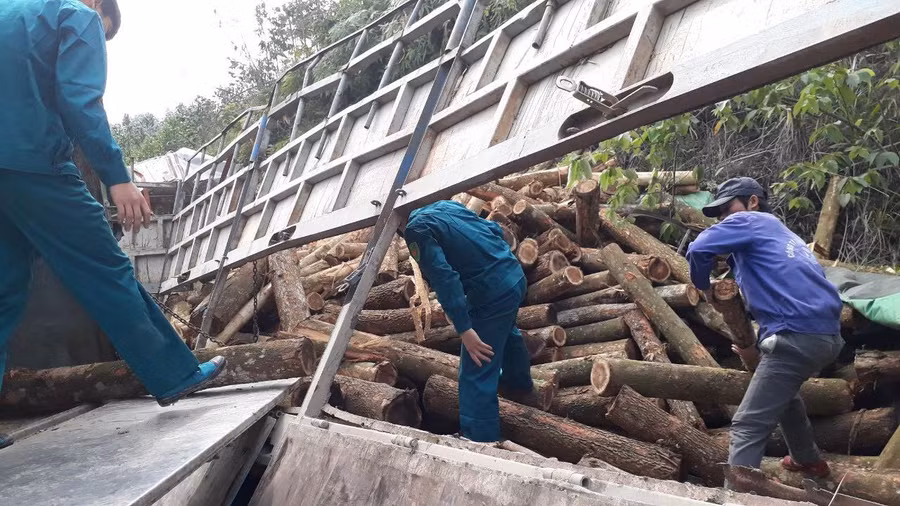 Bước đầu, UBND xã Trí Nang hỗ trợ các gia đình có người tử vong ở xã (5 người), mỗi gia đình 2 triệu đồng. UBND huyện Lang Chánh cũng kịp thời hỗ trợ mai táng phí cho các gia đình nạn nhân, với mức 5,4 triệu đồng/nạn nhân.