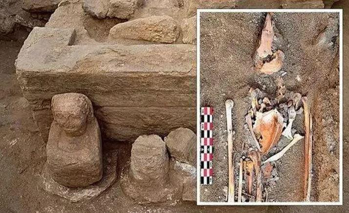 Các chuyên gia đã tìm thấy 15 xác ướp chim ưng không có đầu chôn xung quanh một cái bệ. Các chuyên gia đã tìm thấy 15 xác ướp chim ưng không có đầu chôn xung quanh một cái bệ.