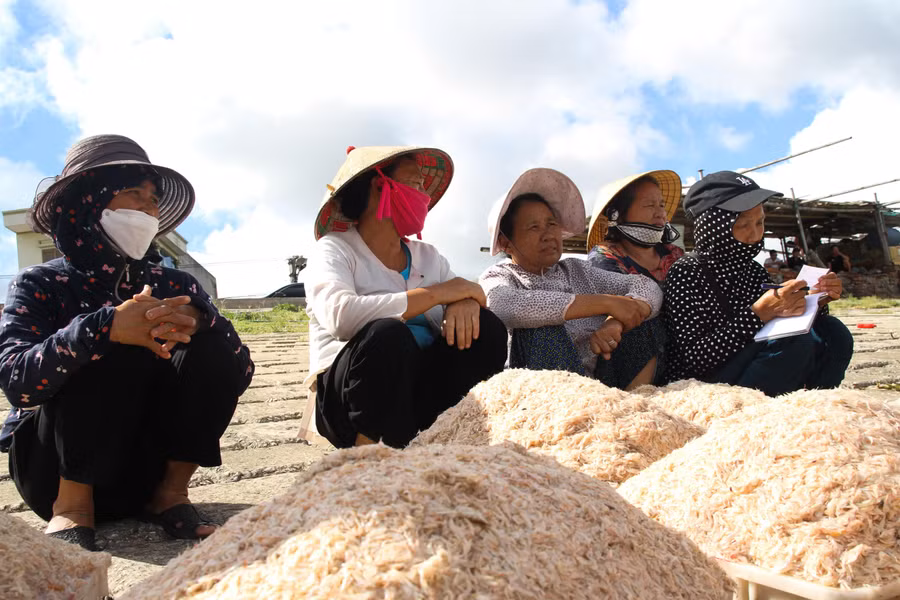 Theo một tiểu thương, hoạt động mua bán cá của các chủ tàu sau đó bán lại cho các đầu mối tại các chợ trên địa bàn có ngày cũng thu lãi được khoảng 200.000 đến 300.000 đồng.