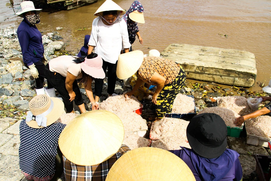 Tấp nập cảng cá Ngư Lộc ngày thuyền vào bờ