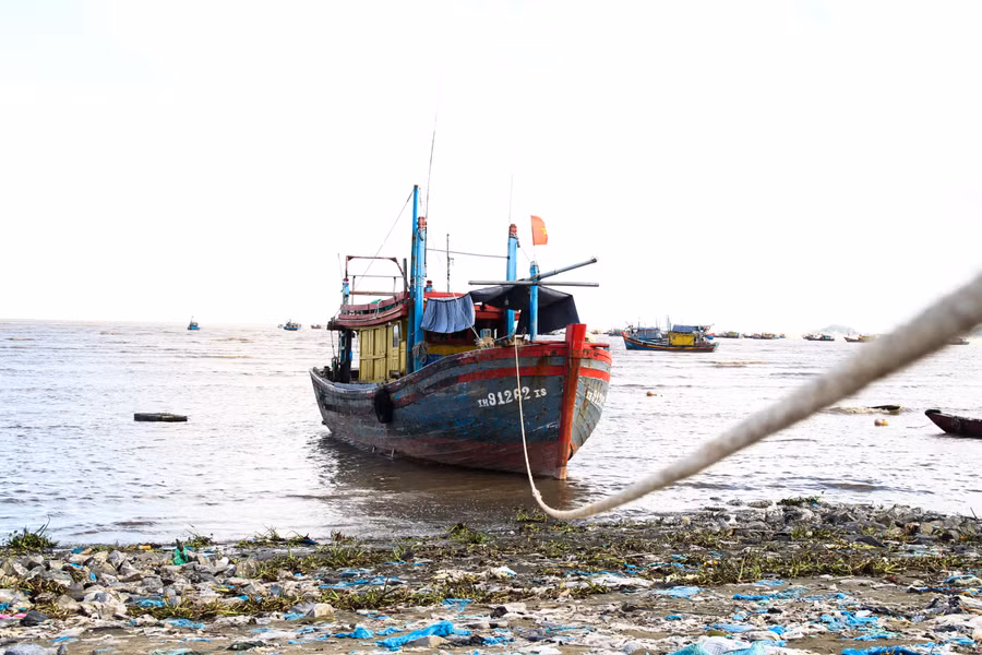 Thời điểm hiện tại, giá xăng dầu lên cao khiến nhiều chủ tàu không thể "vươn khơi". Việc khai thác hải sản theo đó cũng bị đình trệ.
