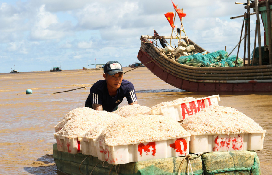 Thuyền cập bến cũng là lúc hoạt động mua bán hải sản tại cảng cá xã Ngư Lộc diễn ra tấp nập nhất. Tại xã Ngư Lộc, phần đông số ngư dân với thuyền nhỏ sẽ lựa chọn theo phương án đánh bắt trong ngày thay vì đầu tư vốn sắm thuyền to để đánh bắt dài ngày (mỗi chuyến đi 10 ngày). Thuyền cập bến cũng là lúc hoạt động mua bán hải sản tại cảng cá xã Ngư Lộc diễn ra tấp nập nhất. Tại xã Ngư Lộc, phần đông số ngư dân với thuyền nhỏ sẽ lựa chọn theo phương án đánh bắt trong ngày thay vì đầu tư vốn sắm thuyền to để đánh bắt dài ngày (mỗi chuyến đi 10 ngày).