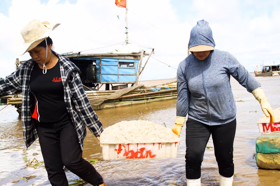 Hàng hóa sau mỗi chuyến đánh bắt sẽ được đưa lên bờ sau đó bán trực tiếp cho thương lái đến thu mua và vận chuyển đến các địa phương để tiêu thụ. Một ngư dân cho hay, mỗi chuyến đi đều "được mùa" nhưng giá bán cho thương lái lại giảm so với những năm trước đó.