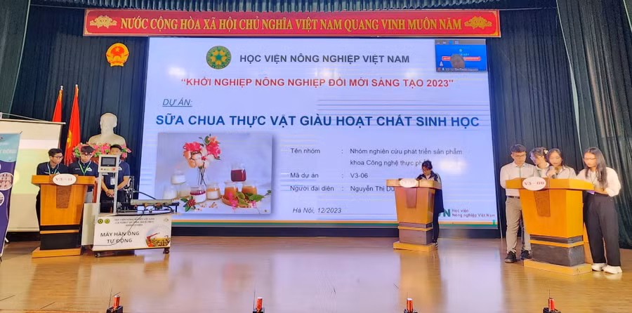 Các đội tham gia vòng đấu trí - tối 15/12.