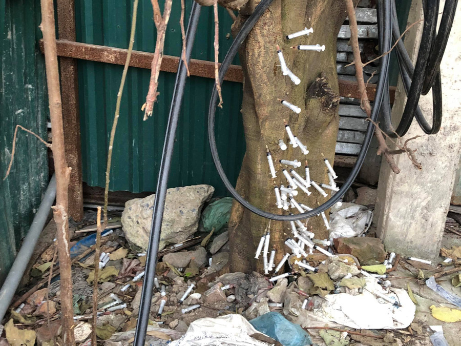 Vỏ kim tiêm không chỉ trên thân cây mà còn bị vứt lại rất nhiều tại phần gốc cây quanh đó.