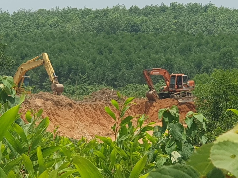 Khu đồi tràm bị máy móc khoét sâu để lấy đất.