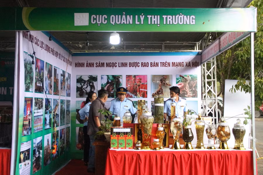 Gian hàng trưng bày các sản phẩm từ sâm Ngọc Linh thật - giả để khách hàng dễ dàng phân biệt.