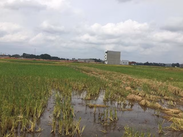 Ảnh minh họa/internet