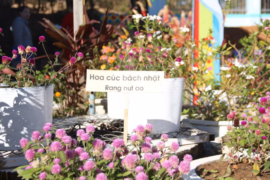 Trẻ học song ngữ ở mọi lúc, mọi nơi.