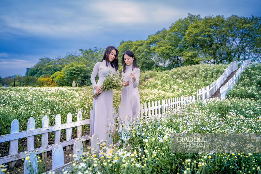 Với cúc họa mi, bạn có thể lựa chọn nhiều trang phục để có những bức hình ưng ý, từ áo dài, đồ hiện đại tới đồ truyền thống…