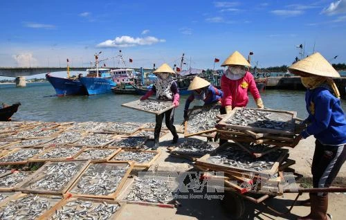 Ảnh minh họa/internet