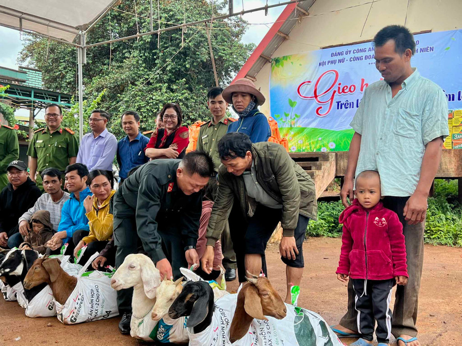 Những con dê giống sẽ là sinh kế mới, giúp bà con nhân dân phát triển kinh tế gia đình (ảnh: SĐ). Những con dê giống sẽ là sinh kế mới, giúp bà con nhân dân phát triển kinh tế gia đình (ảnh: SĐ).