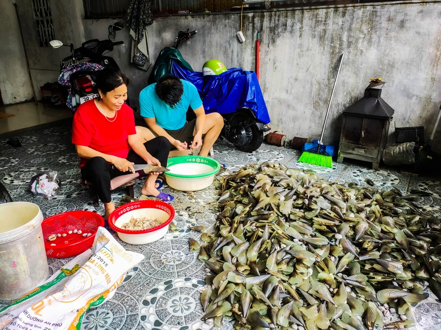 Hàng tấn "lộc biển" dạt vào bờ, người dân đội mưa đổ xô đi vớt