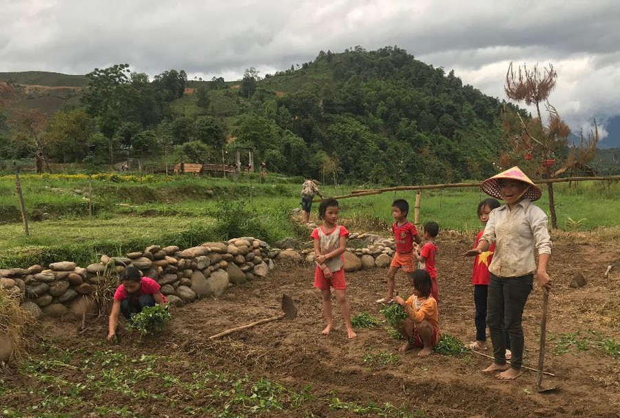 Tỷ lệ sinh con thứ 3 đã giảm nhiều