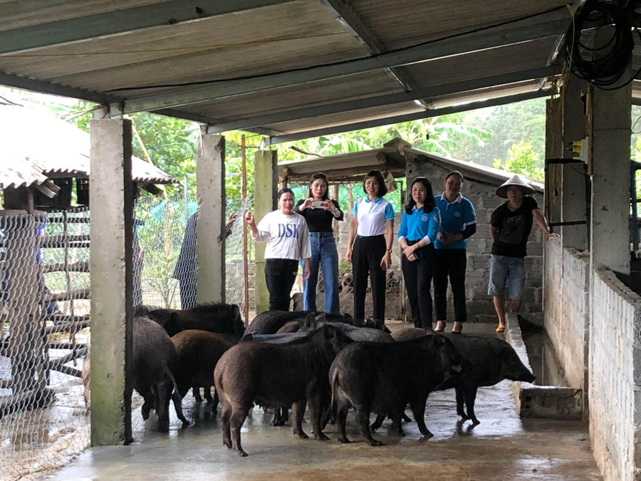 Không chỉ vươn lên làm giàu, gia đình chị Thương còn thường xuyên chia sẻ kinh nghiệm cũng như hỗ trợ cây, con giống cho các hộ dân xung quanh để phát triển kinh tế.