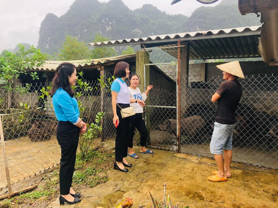 Chủ tịch Hội LHPN tỉnh Quảng Bình Diệp Thị Minh Quyết thăm mô hình kinh tế của hội viên Cao Thị Thương.