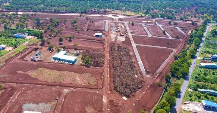 UBND tỉnh Gia Lai đã chỉ đạo các đơn vị liên quan chấm dứt việc di thực cây thông ở khu phức hợp Đăk Đoa.