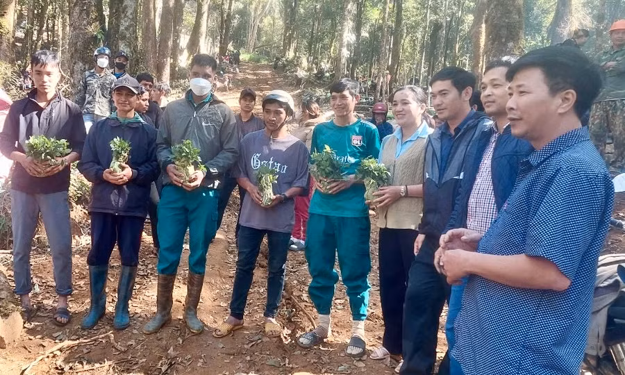 Các hộ dân phấn khởi khi nhận sâm Ngọc Linh giống. Các hộ dân phấn khởi khi nhận sâm Ngọc Linh giống.