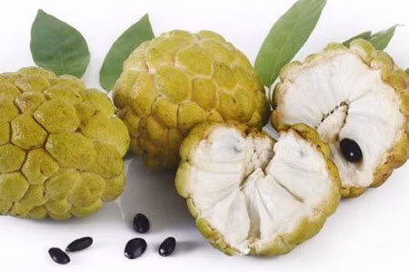 6 lợi ích không ngờ của quả na với sức khỏe