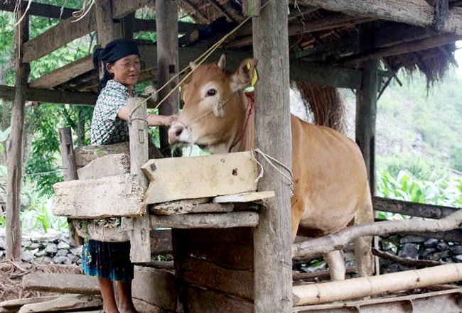 Ảnh minh họa/internet