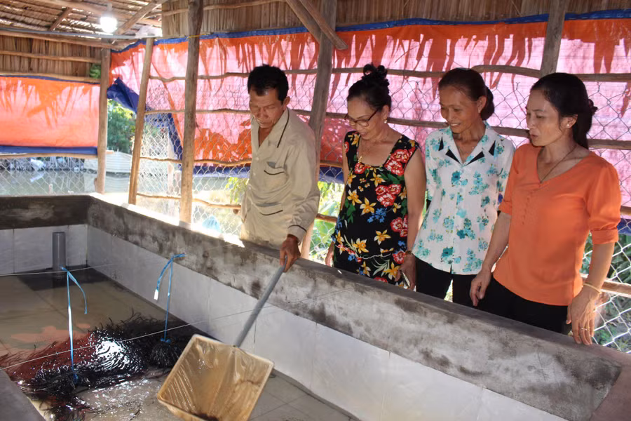 Đồng bào Khmer ứng dụng khoa học công nghệ vào sản xuất nông nghiệp.