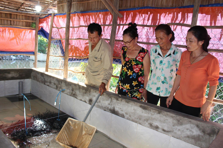 Đồng bào Khmer ứng dụng khoa học công nghệ vào sản xuất nông nghiệp. Đồng bào Khmer ứng dụng khoa học công nghệ vào sản xuất nông nghiệp.