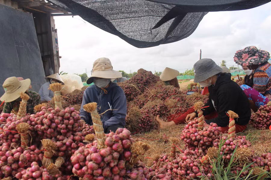 Tỷ lệ lao động DTTS qua đào tạo nghề vẫn còn rất thấp.