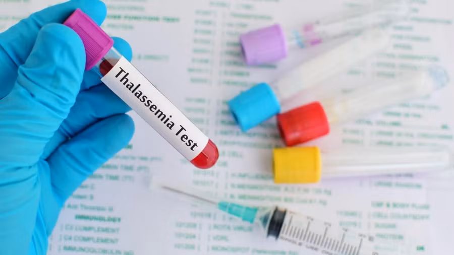 (Ảnh minh họa/internet)